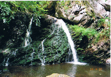 Fairy Glen